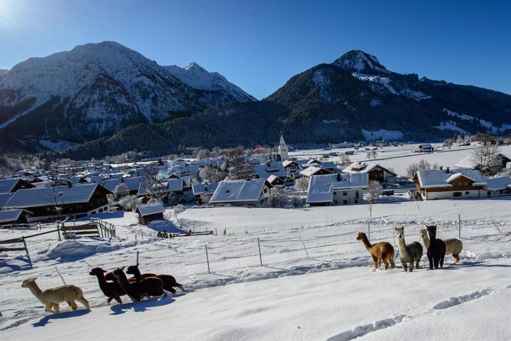 Alpakahof Wechs Villa Bad Hindelang Bagian luar foto