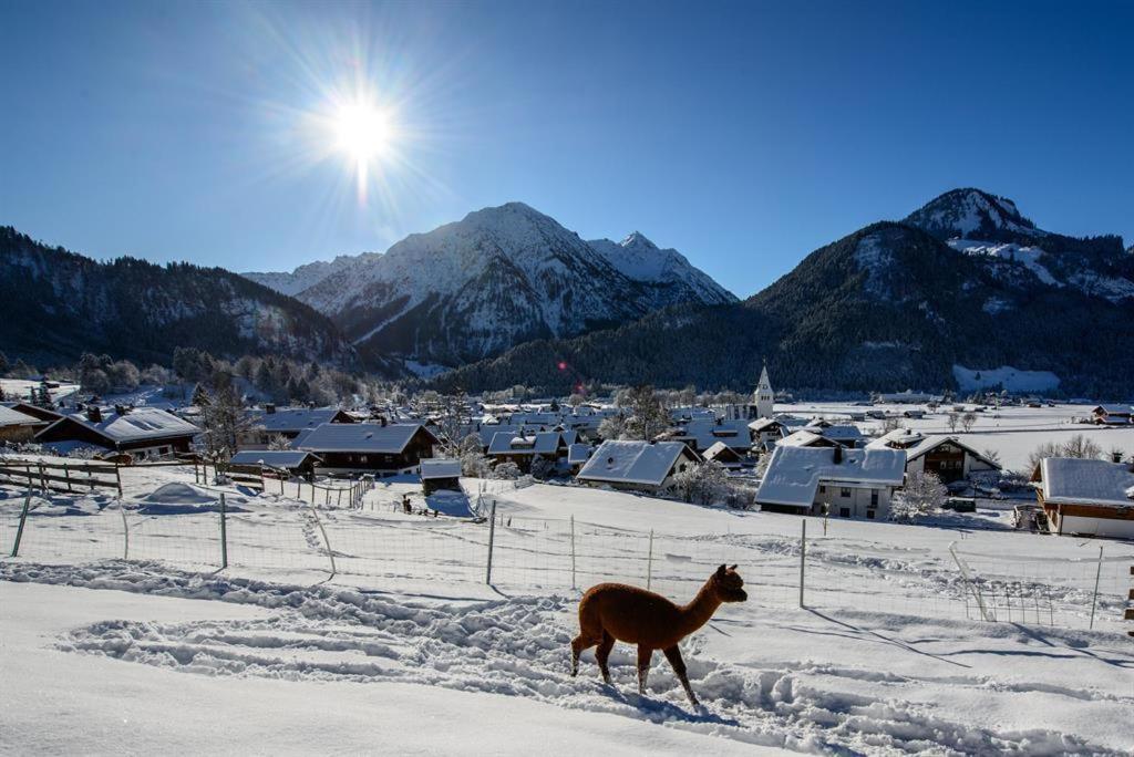 Alpakahof Wechs Villa Bad Hindelang Bagian luar foto