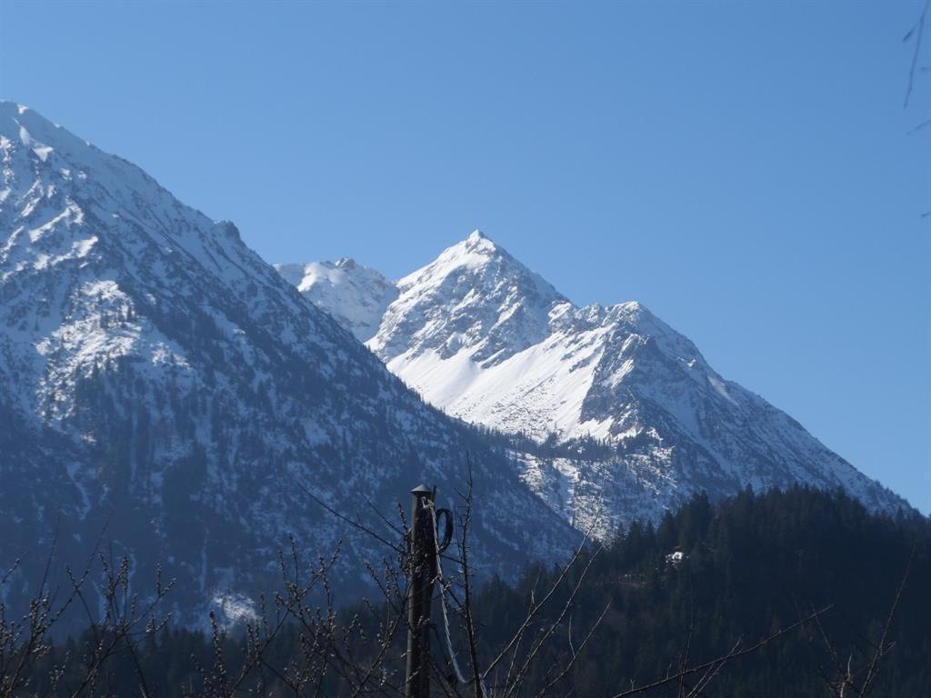 Alpakahof Wechs Villa Bad Hindelang Bagian luar foto