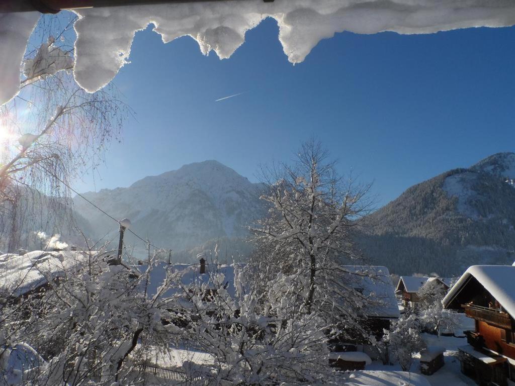 Alpakahof Wechs Villa Bad Hindelang Bagian luar foto