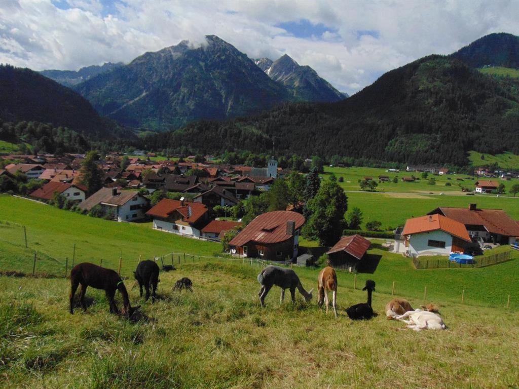 Alpakahof Wechs Villa Bad Hindelang Bagian luar foto