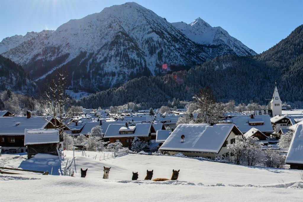 Alpakahof Wechs Villa Bad Hindelang Bagian luar foto